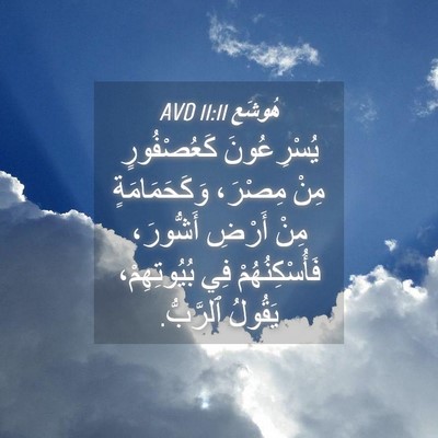 Picture 04 - هُوشَع 11:11 AVD - يُسْرِعُونَ كَعُصْفُورٍ - Bible Verse Picture