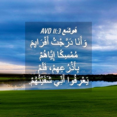 Picture 04 - هُوشَع 11:3 AVD - وَأَنَا دَرَّجْتُ - Bible Verse Picture