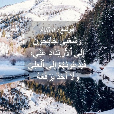 Picture 04 - هُوشَع 11:7 AVD - وَشَعْبِي جَانِحُونَ - Bible Verse Picture