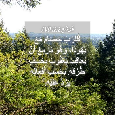 Picture 04 - هُوشَع 12:2 AVD - فَلِلرَّبِّ خِصَامٌ مَعَ - Bible Verse Picture