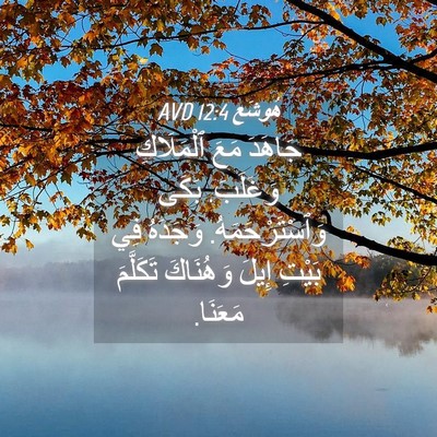 Picture 04 - هُوشَع 12:4 AVD - جَاهَدَ مَعَ ٱلْمَلَاكِ - Bible Verse Picture