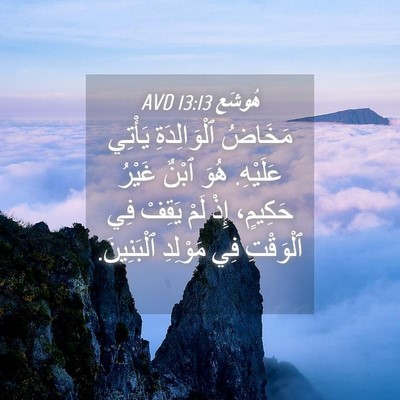 Picture 04 - هُوشَع 13:13 AVD - مَخَاضُ ٱلْوَالِدَةِ - Bible Verse Picture