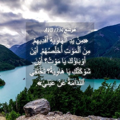 Picture 04 - هُوشَع 13:14 AVD - «مِنْ يَدِ ٱلْهَاوِيَةِ - Bible Verse Picture