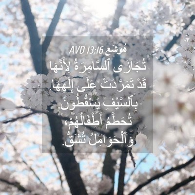 Picture 04 - هُوشَع 13:16 AVD - تُجَازَى ٱلسَّامِرَةُ - Bible Verse Picture