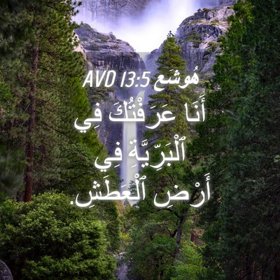 Picture 04 - هُوشَع 13:5 AVD - أَنَا عَرَفْتُكَ فِي - Bible Verse Picture