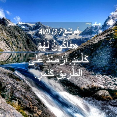 Picture 04 - هُوشَع 13:7 AVD - «فَأَكُونُ لَهُمْ - Bible Verse Picture