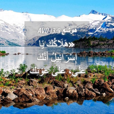 Picture 04 - هُوشَع 13:9 AVD - «هَلَاكُكَ يَا - Bible Verse Picture