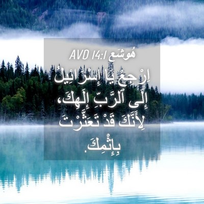 Picture 04 - هُوشَع 14:1 AVD - اِرْجِعْ يَا إِسْرَائِيلُ - Bible Verse Picture