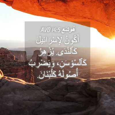 Picture 04 - هُوشَع 14:5 AVD - أَكُونُ لِإِسْرَائِيلَ - Bible Verse Picture