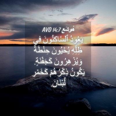 Picture 04 - هُوشَع 14:7 AVD - يَعُودُ ٱلسَّاكِنُونَ فِي - Bible Verse Picture