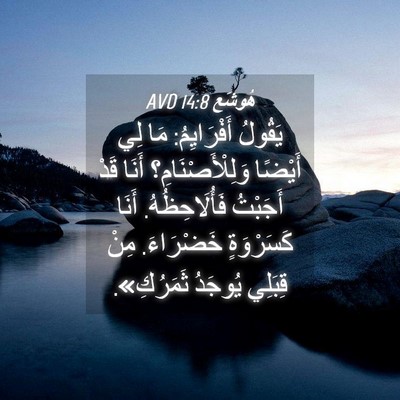 Picture 04 - هُوشَع 14:8 AVD - يَقُولُ أَفْرَايِمُ: مَا - Bible Verse Picture