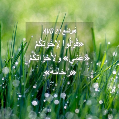 Picture 04 - هُوشَع 2:1 AVD - «قُولُوا لِإِخْوَتِكُمْ - Bible Verse Picture