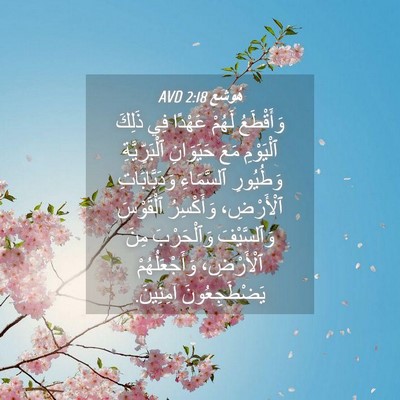 Picture 04 - هُوشَع 2:18 AVD - وَأَقْطَعُ لَهُمْ عَهْدًا - Bible Verse Picture
