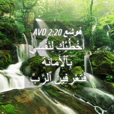 Picture 04 - هُوشَع 2:20 AVD - أَخْطُبُكِ لِنَفْسِي - Bible Verse Picture