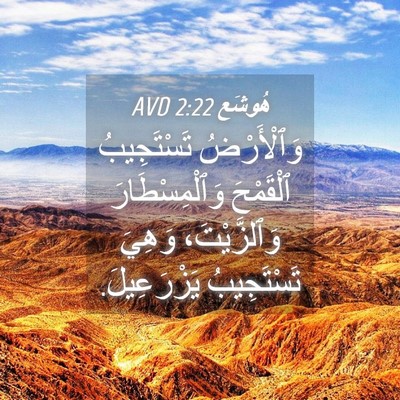 Picture 04 - هُوشَع 2:22 AVD - وَٱلْأَرْضُ تَسْتَجِيبُ - Bible Verse Picture