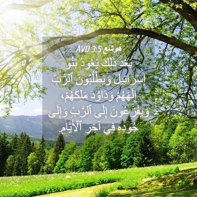 Picture 04 - هُوشَع 3:5 AVD - بَعْدَ ذَلِكَ يَعُودُ - Bible Verse Picture