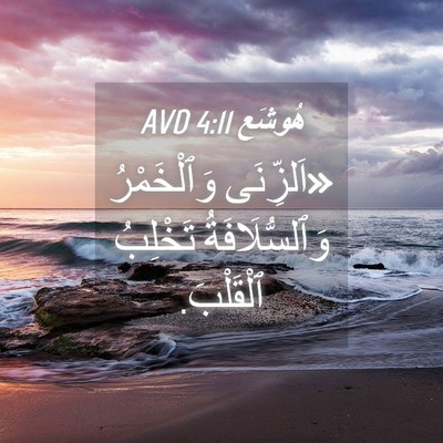 Picture 04 - هُوشَع 4:11 AVD - «اَلزِّنَى وَٱلْخَمْرُ - Bible Verse Picture