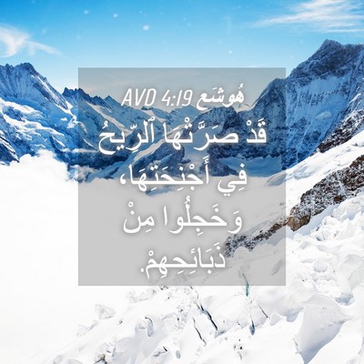 Picture 04 - هُوشَع 4:19 AVD - قَدْ صَرَّتْهَا ٱلرِّيحُ - Bible Verse Picture