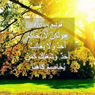 Picture 04 - هُوشَع 4:4 AVD - «وَلَكِنْ لَا يُحَاكِمْ - Bible Verse Picture