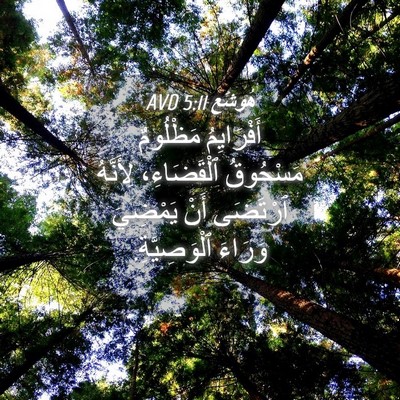 Picture 04 - هُوشَع 5:11 AVD - أَفْرَايِمُ مَظْلُومٌ - Bible Verse Picture
