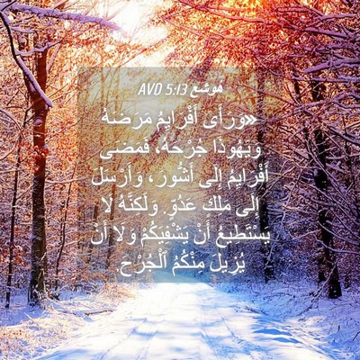 Picture 04 - هُوشَع 5:13 AVD - «وَرَأَى أَفْرَايِمُ - Bible Verse Picture