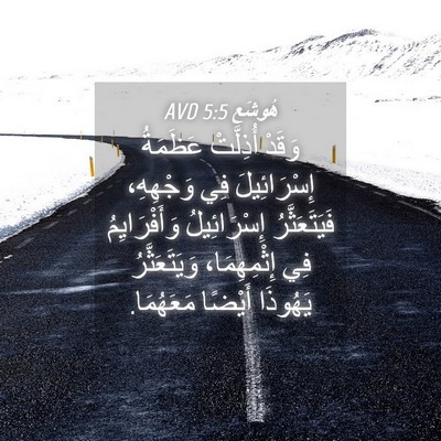 Picture 04 - هُوشَع 5:5 AVD - وَقَدْ أُذِلَّتْ عَظَمَةُ - Bible Verse Picture
