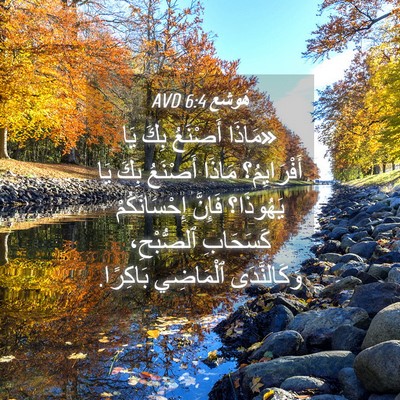 Picture 04 - هُوشَع 6:4 AVD - «مَاذَا أَصْنَعُ بِكَ يَا - Bible Verse Picture