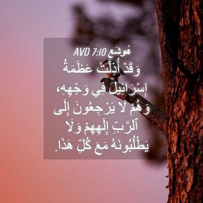 Picture 04 - هُوشَع 7:10 AVD - وَقَدْ أُذِلَّتْ عَظَمَةُ - Bible Verse Picture