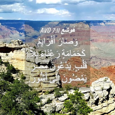 Picture 04 - هُوشَع 7:11 AVD - وَصَارَ أَفْرَايِمُ - Bible Verse Picture
