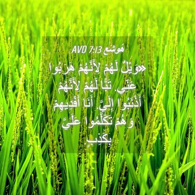 Picture 04 - هُوشَع 7:13 AVD - «وَيْلٌ لَهُمْ - Bible Verse Picture