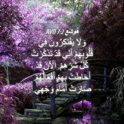 Picture 04 - هُوشَع 7:2 AVD - وَلَا يَفْتَكِرُونَ فِي - Bible Verse Picture