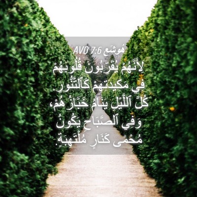 Picture 04 - هُوشَع 7:6 AVD - لِأَنَّهُمْ يُقَرِّبُونَ - Bible Verse Picture