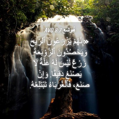Picture 04 - هُوشَع 8:7 AVD - «إِنَّهُمْ يَزْرَعُونَ - Bible Verse Picture