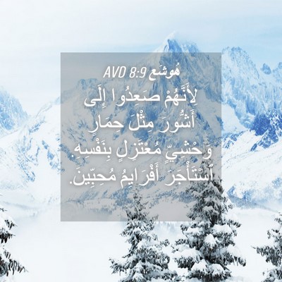 Picture 04 - هُوشَع 8:9 AVD - لِأَنَّهُمْ صَعِدُوا - Bible Verse Picture