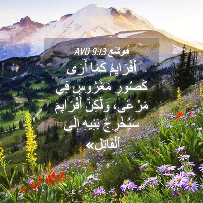 Picture 04 - هُوشَع 9:13 AVD - أَفْرَايِمُ كَمَا أَرَى - Bible Verse Picture