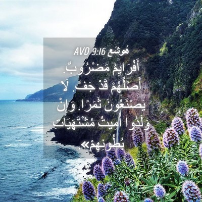 Picture 04 - هُوشَع 9:16 AVD - أَفْرَايِمُ مَضْرُوبٌ. - Bible Verse Picture
