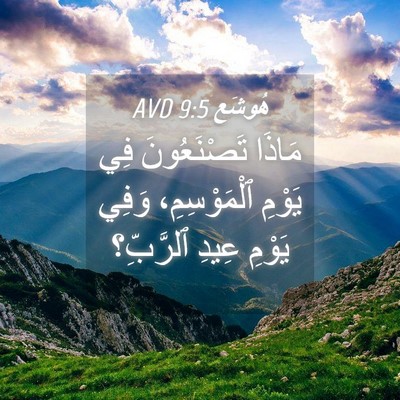 Picture 04 - هُوشَع 9:5 AVD - مَاذَا تَصْنَعُونَ فِي - Bible Verse Picture