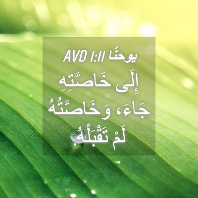 Picture 04 - يوحنَّا 1:11 AVD - إِلَى خَاصَّتِهِ جَاءَ، - Bible Verse Picture