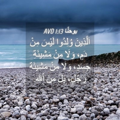 Picture 04 - يوحنَّا 1:13 AVD - اَلَّذِينَ وُلِدُوا - Bible Verse Picture