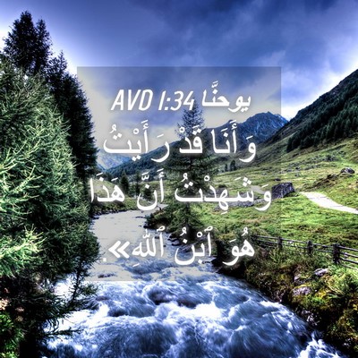 Picture 04 - يوحنَّا 1:34 AVD - وَأَنَا قَدْ رَأَيْتُ - Bible Verse Picture