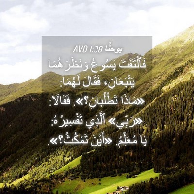 Picture 04 - يوحنَّا 1:38 AVD - فَٱلْتَفَتَ يَسُوعُ - Bible Verse Picture