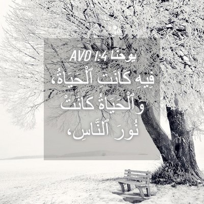 Picture 04 - يوحنَّا 1:4 AVD - فِيهِ كَانَتِ ٱلْحَيَاةُ، - Bible Verse Picture