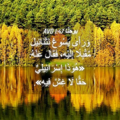 Picture 04 - يوحنَّا 1:47 AVD - وَرَأَى يَسُوعُ - Bible Verse Picture