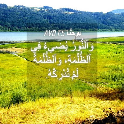 Picture 04 - يوحنَّا 1:5 AVD - وَٱلنُّورُ يُضِيءُ فِي - Bible Verse Picture