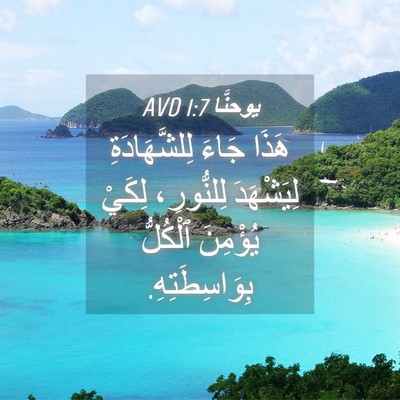 Picture 04 - يوحنَّا 1:7 AVD - هَذَا جَاءَ لِلشَّهَادَةِ - Bible Verse Picture
