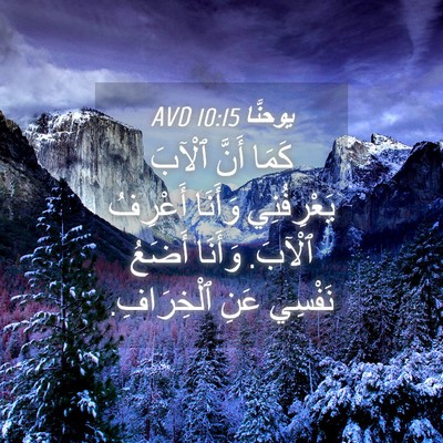 Picture 04 - يوحنَّا 10:15 AVD - كَمَا أَنَّ ٱلْآبَ - Bible Verse Picture