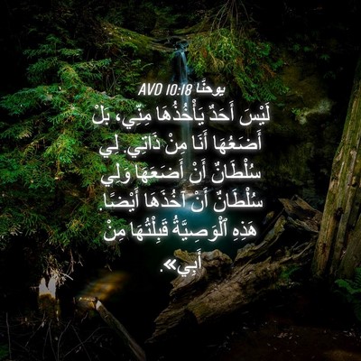 Picture 04 - يوحنَّا 10:18 AVD - لَيْسَ أَحَدٌ يَأْخُذُهَا - Bible Verse Picture