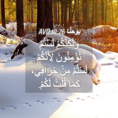 Picture 04 - يوحنَّا 10:26 AVD - وَلَكِنَّكُمْ لَسْتُمْ - Bible Verse Picture