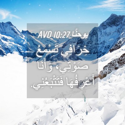 Picture 04 - يوحنَّا 10:27 AVD - خِرَافِي تَسْمَعُ - Bible Verse Picture