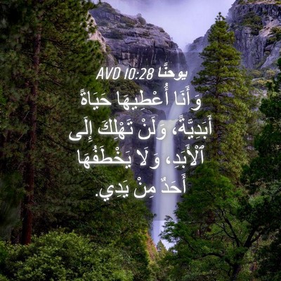 Picture 04 - يوحنَّا 10:28 AVD - وَأَنَا أُعْطِيهَا - Bible Verse Picture